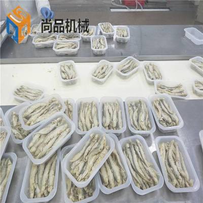 海產品加工高效解決方案 巴沙魚滾筒上粉機、帶魚段連續式油炸機及小刀魚裹粉油炸成套設備